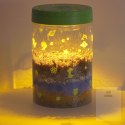 Hodowla dinozaurów terrarium projektor z lampką nocną LED