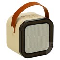 Zestaw do karaoke 2 mikrofony + głośnik przenośny BLUETOOTH USB LED beżowy