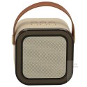 Zestaw do karaoke 2 mikrofony + głośnik przenośny BLUETOOTH USB LED beżowy