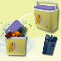 Lodówka turystyczna pasywna 24L Lody Kamai Coolbox