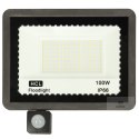 Lampa czujnik ruchu reflektor 100W