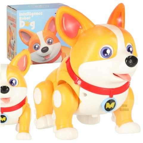 Pies piesek interaktywny robot Corgi świecące uszy muzyka Kik Sp. z o. o. Sp. k.